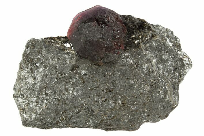 Red Embers Garnet in Graphite - Massachusetts #313481